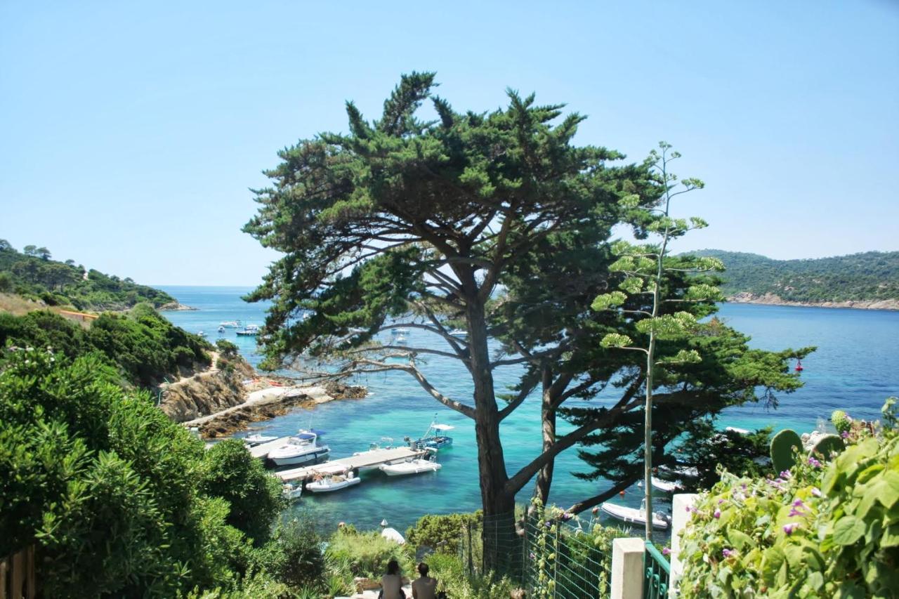 Cabanon Ecologique Ile du Levant